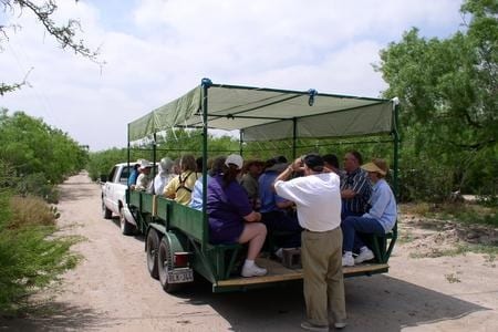 Rancho Lomitas Native Plant Nursery